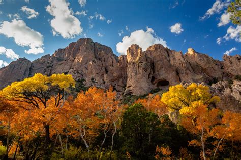 Chiricahua Mountains