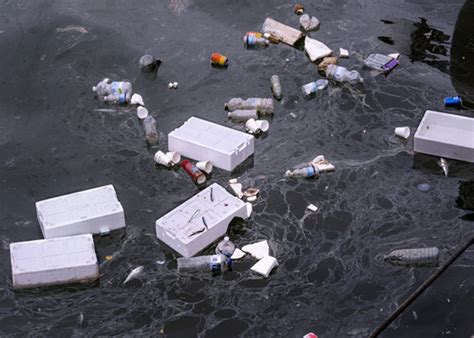 Styrofoam boxes recycling through professional machines ought to be paid much attention to