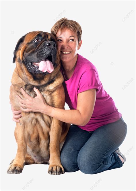 Mastiff And Woman Bullmastiff, Studio, Animal, Giant PNG Transparent Image and Clipart for Free ...