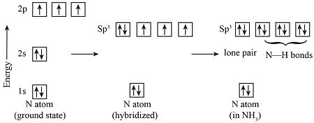 Using hybrid orbitals, describe the bonding in NH3 according to valence bond theory. | Homework ...