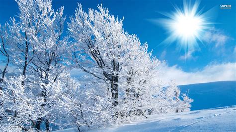 2020 Winter Wallpapers - Wallpaper Cave