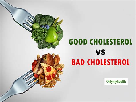 Difference Between Good And Bad Cholesterol And Ways To Control It | OnlyMyHealth