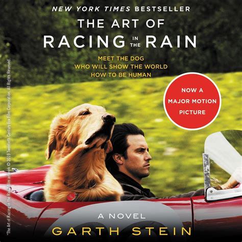 The Art of Racing in the Rain - Audiobook | Listen Instantly!