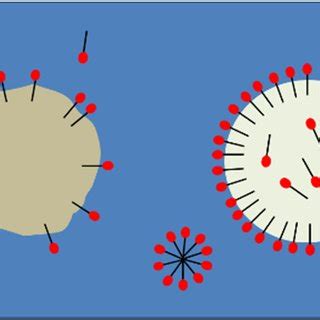 (a) Schematic system description when the surfactant was initially... | Download Scientific Diagram