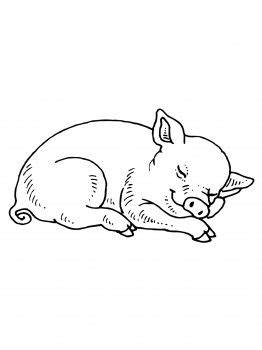 Sleeping Baby Pig Coloring page | Free Printable Coloring Pages | Baby ...