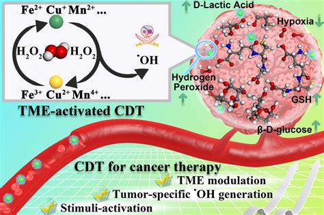 Stimuli‐activatable nanomedicines for chemodynamic therapy of cancer - Wang - 2020 - WIREs ...