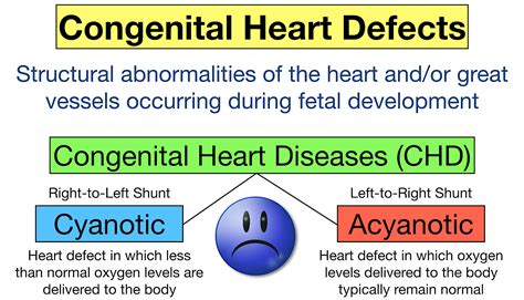 Keyword for What Are The 5 Main Types Of Congenital Heart Disease