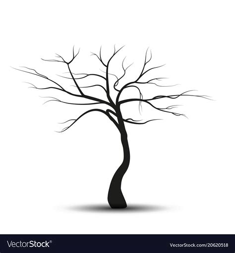 Silhouette tree without leaves Royalty Free Vector Image