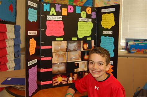 10 Ideal 3Rd Grade Science Fair Project Ideas 2024