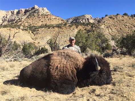 2018 Utah Henry Mtns Bison Conservation Permit Hunter’s Choice (early) Permit