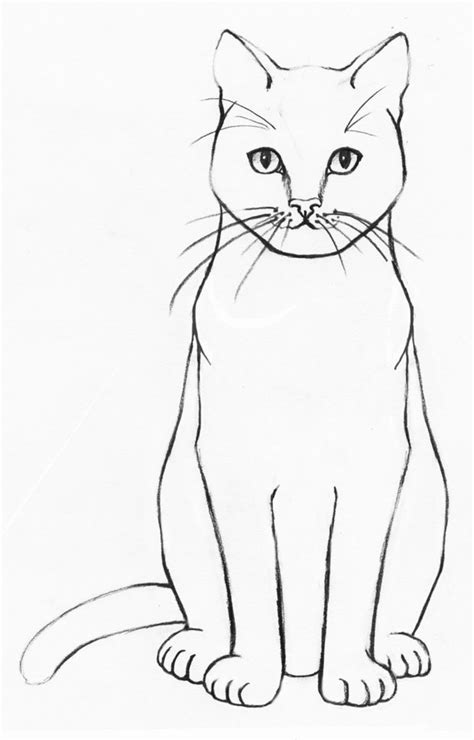 How To Draw A Cat Easy Steps