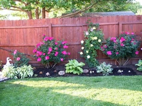 Backyard Landscaping Ideas Along Fence Line