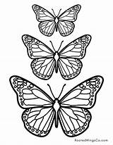 Free Butterfly Coloring Pages  For Kids Or Adults sketch template