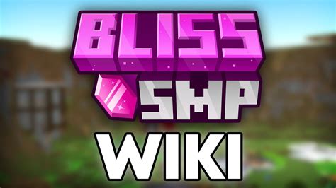 How To Access the Bliss SMP Wiki - YouTube