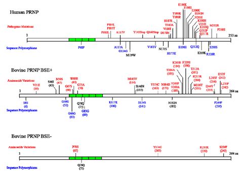 Variations and mutations of the prion protein gene in humans (CJD) and... | Download Scientific ...