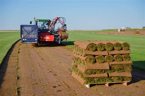 Our Sod Farm Near Denver for Over 50 Years - About Us | ScienTurfic Sod