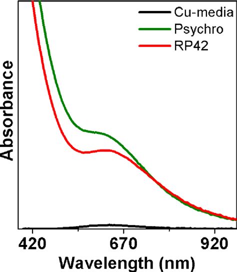 Biological synthesis of copper/copper oxide nanoparticles | Semantic ...