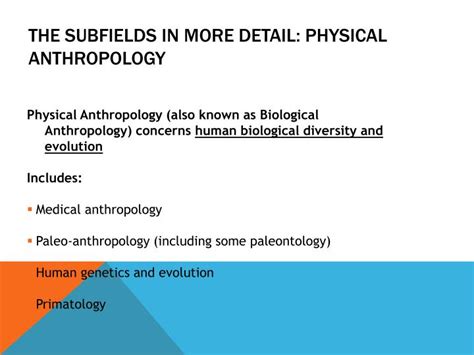 PPT - What Is Anthropology? PowerPoint Presentation - ID:2819966