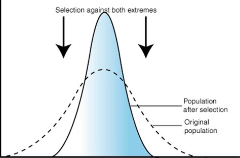 | Types of natural selection |Flame Institute