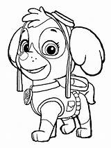 16 Zuma Paw Patrol Coloring Page  Just Kids sketch template