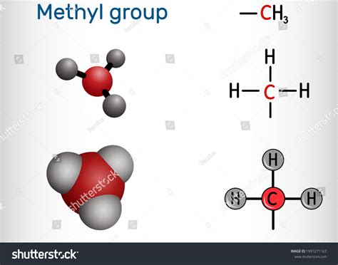 16 Methyl Radical Images, Stock Photos & Vectors | Shutterstock