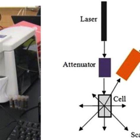 18. Particle Size Analyzer and the principle involved | Download Scientific Diagram