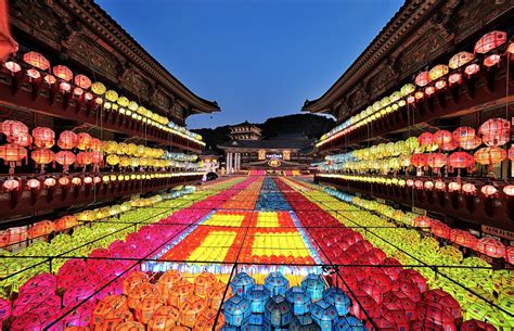 Discovering Korea: Lotus Lantern Festival In Seoul | Brain Berries