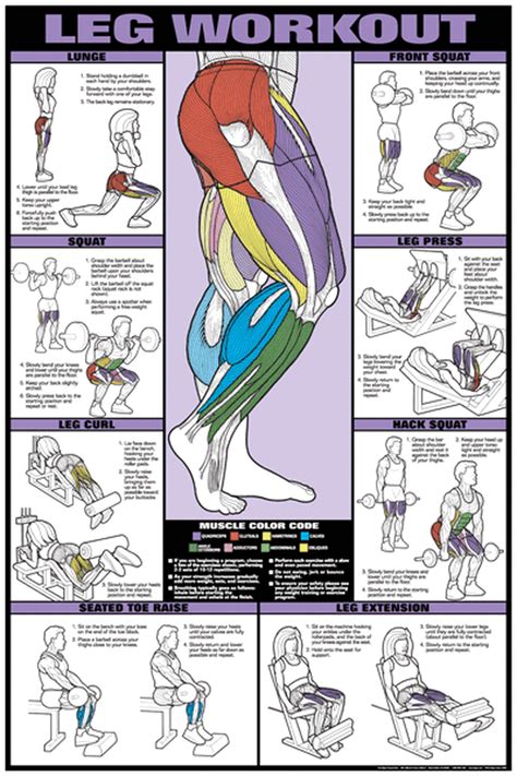 Leg Workout Fitness Chart (Co-Ed) | Leg workout, Workout chart, Leg workouts gym