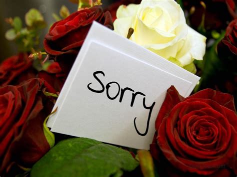 Sorry Quotes For Her - Sincere Apology Picture Messages - Zitations