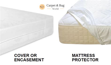 Can You Wash Bed Bug Mattress Covers? (Yes and No. This is Why ...