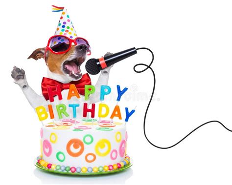 66,257 Happy Birthday Funny Stock Photos - Free & Royalty-Free Stock ...