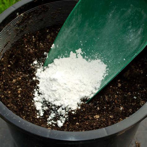 SoilKey Gypsum Rock Dust | Urban Garden Seeds