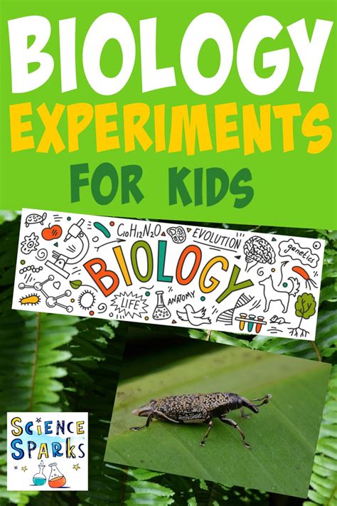 Easy Biology Experiments for Kids – Top Globe News