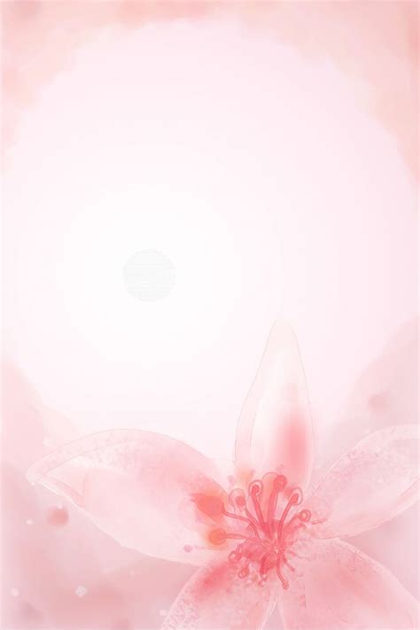 Gradient Pink Flower Background Border Wallpaper Image For Free ...