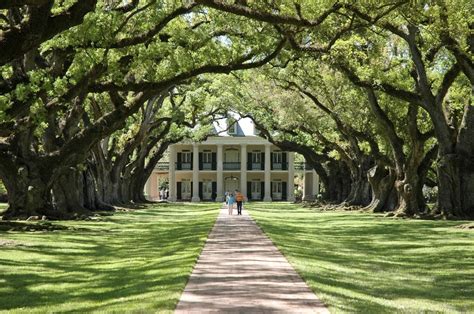 Antebellum History: The Story of Houmas House and Oak Alley Plantation ...