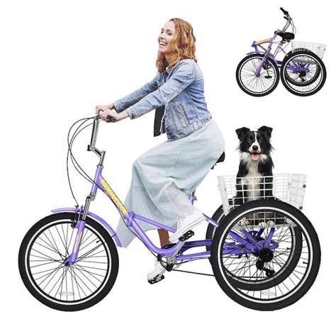 MOONCOOL Adult Folding Tricycles, 7 Speed Folding Adult Trikes, 20 in ...