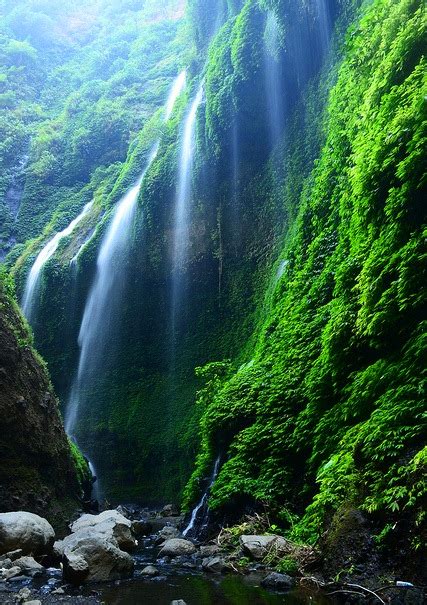 Pesona Kesegaran Air Terjun Madakaripura - Manusia Lembah