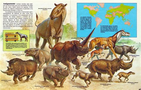 RINOCERONTES | Extinct animals, Prehistoric animals, Prehistoric wildlife