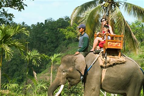 Exotic View - Elephant Riding - Bali Elephant Camp – Bali Star Island ...