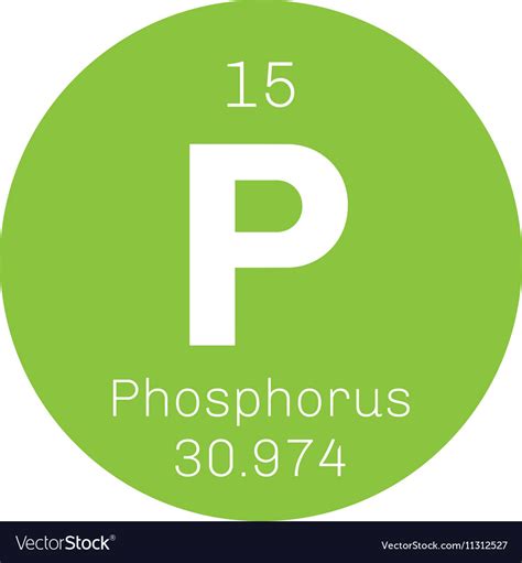 Phosphorus chemical element Royalty Free Vector Image