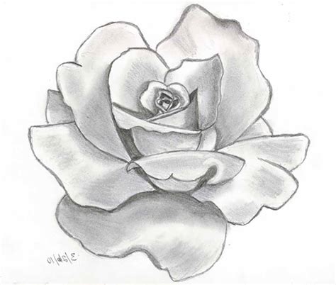 Awesome Flower Drawings – WeNeedFun