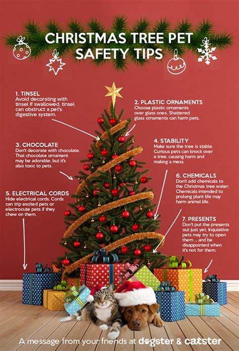 "Infographic: Keep Your Pets Safe Around the Christmas Tree" by Liz Acosta on Dogster | Pet ...