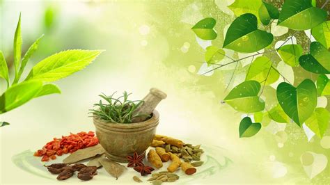 Download Ayurveda Wallpapers High Quality For Free Wallpaper » Monodomo ...