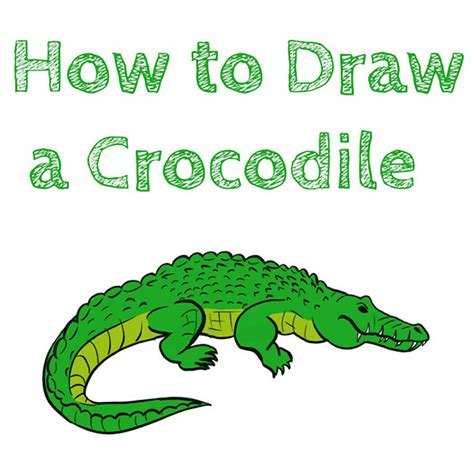 How to Draw a Crocodile - How to Draw Easy