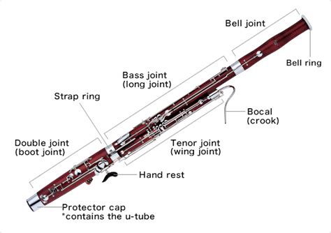 Meet the Bassoon - Nspirement