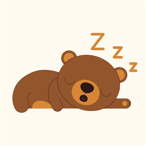 Best Sleeping Bear Illustrations, Royalty-Free Vector Graphics & Clip Art - iStock