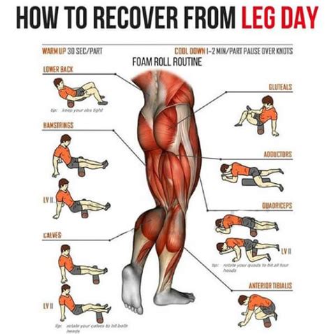 How To Recover From Leg Day! Big Strong Legs Workout - Yeah We Train ! | Recovery workout, Leg ...