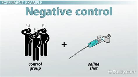 Negative Control Group | Definition & Examples - Lesson | Study.com