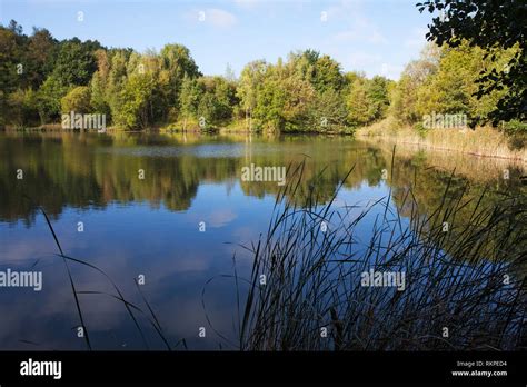 Lake at Swanwick Lakes Hampshire and Isle of Wight Wildlife Trust ...