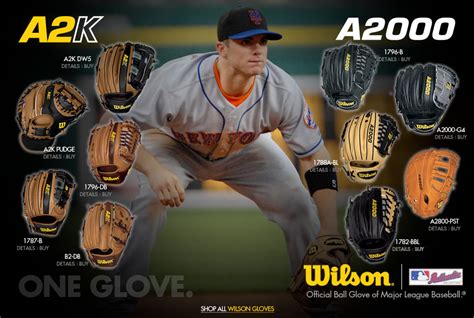 Wilson Baseball Gloves: Details, Prices, Pictures & Online Shops | Line ...